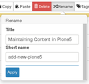 Rename an item or Items Title
