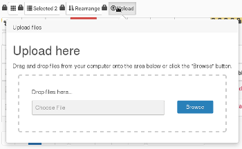 Bulk Upload Images or PDFs etc
