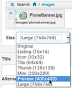 Specifiy the Image size for display purposes