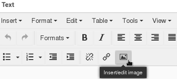 Add an image to a page