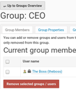 Workflow-CEOGroup.png